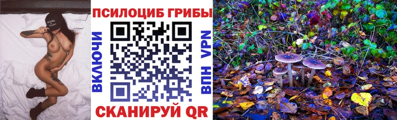 Псилоцибиновые грибы Psilocybine cubensis  как найти   Каневская 